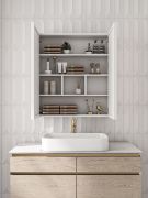 Picture of Lustra – LED Bathroom Mirror Cabinet with Multifunctional Storage