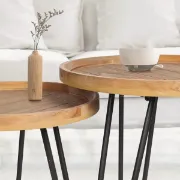 Picture of Harv Modern Natural wood Side table - Set of 2