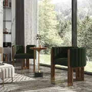 Picture of Bergument Modern natural wood Arm chair