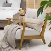 Picture of Casilio Natural wood chair